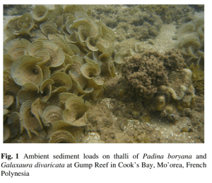 Screenshot 2016-06-20 15.03.57